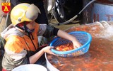 Chợ cá Yên Sở nhộn nhịp ngày ông Công ông Táo